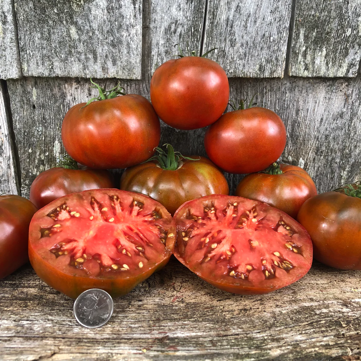 Open Pollinated Tomato Seeds: Qualities, Advantages, and Surveys