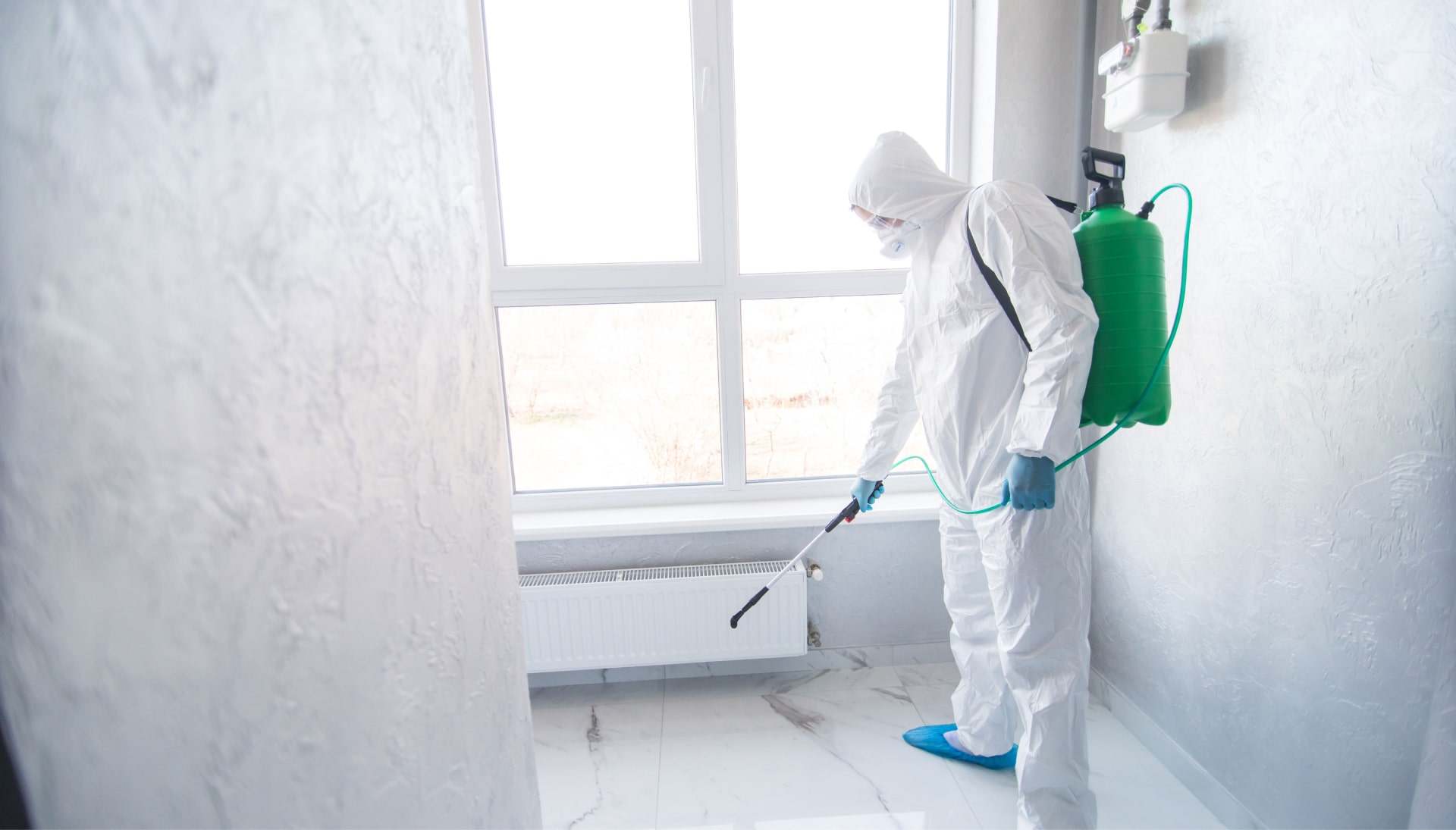 Indianapolis Mold Removal: Tackling the Problem Head-On